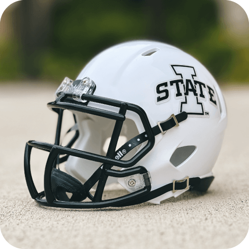 Riddell I-State White Speed Mini Helmet